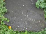 image of grave number 102246